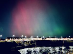 Photo 39- click for photo gallery